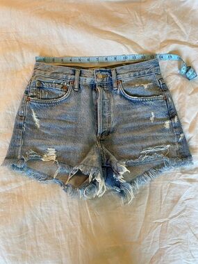 Agolde Parker shorts